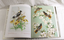Load image into Gallery viewer, Vintage 1994 - Roger Tory Peterson, The Art and Photography of the World&#39;s Foremost Birder - Hardback Book