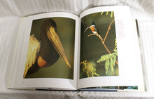 Load image into Gallery viewer, Vintage 1994 - Roger Tory Peterson, The Art and Photography of the World&#39;s Foremost Birder - Hardback Book