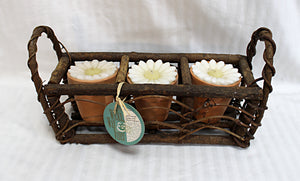 Sunburst Guild - Wicks, Wax & Vines- Daisy Candles in Terra-cotta Pots in Wood Basket - Adorable Cottage Core Decor
