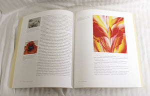 Vintage 2000- Georgia O'Keeffe, The Poetry of Things - Paperback Art Book