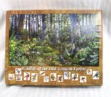 Load image into Gallery viewer, Larry Eifert - Wildlife of the Old-Growth Forest - 17.5&quot; x 23.5&quot; Jigsaw Puzzle 500+ Pc