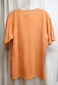 Vintage Single Stitch - Fresh Produce - Orange Grand Canyon tribal Sun Graphic t-Shirt - Size L