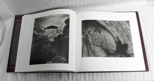 Vintage 2002 - Edward Weston - The Last Years in Carmel - David Travis - Art Institute of Chicago - Hardback Book