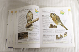 Vintage 1995 - National Audubon Society Birdfeeder Handbook - Robert Burton - Convent Garden Books - Hardback Book