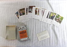 Load image into Gallery viewer, The Shakespeare Game - Quotations &amp; Illustrations