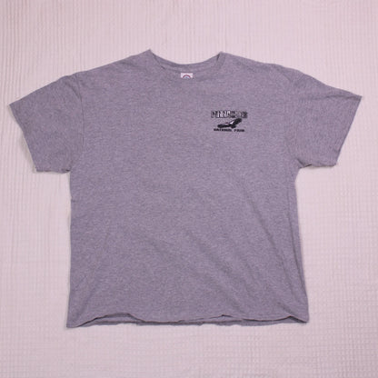 Vintage Y2K - Delta Pro Weight - Gray Pinnacles National Park Graphic T-shirt - Size XL