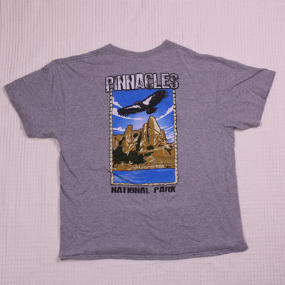Vintage Y2K - Delta Pro Weight - Gray Pinnacles National Park Graphic T-shirt - Size XL