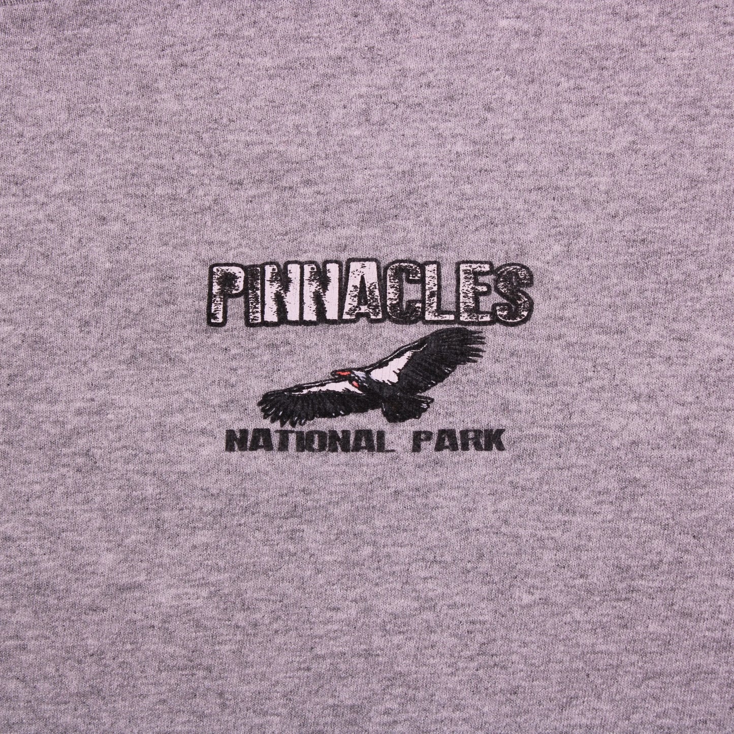 Vintage Y2K - Delta Pro Weight - Gray Pinnacles National Park Graphic T-shirt - Size XL
