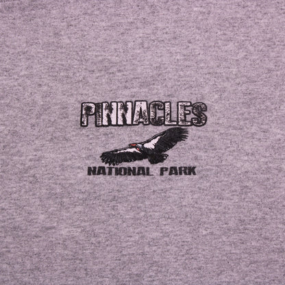 Vintage Y2K - Delta Pro Weight - Gray Pinnacles National Park Graphic T-shirt - Size XL