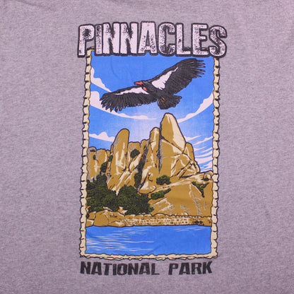 Vintage Y2K - Delta Pro Weight - Gray Pinnacles National Park Graphic T-shirt - Size XL