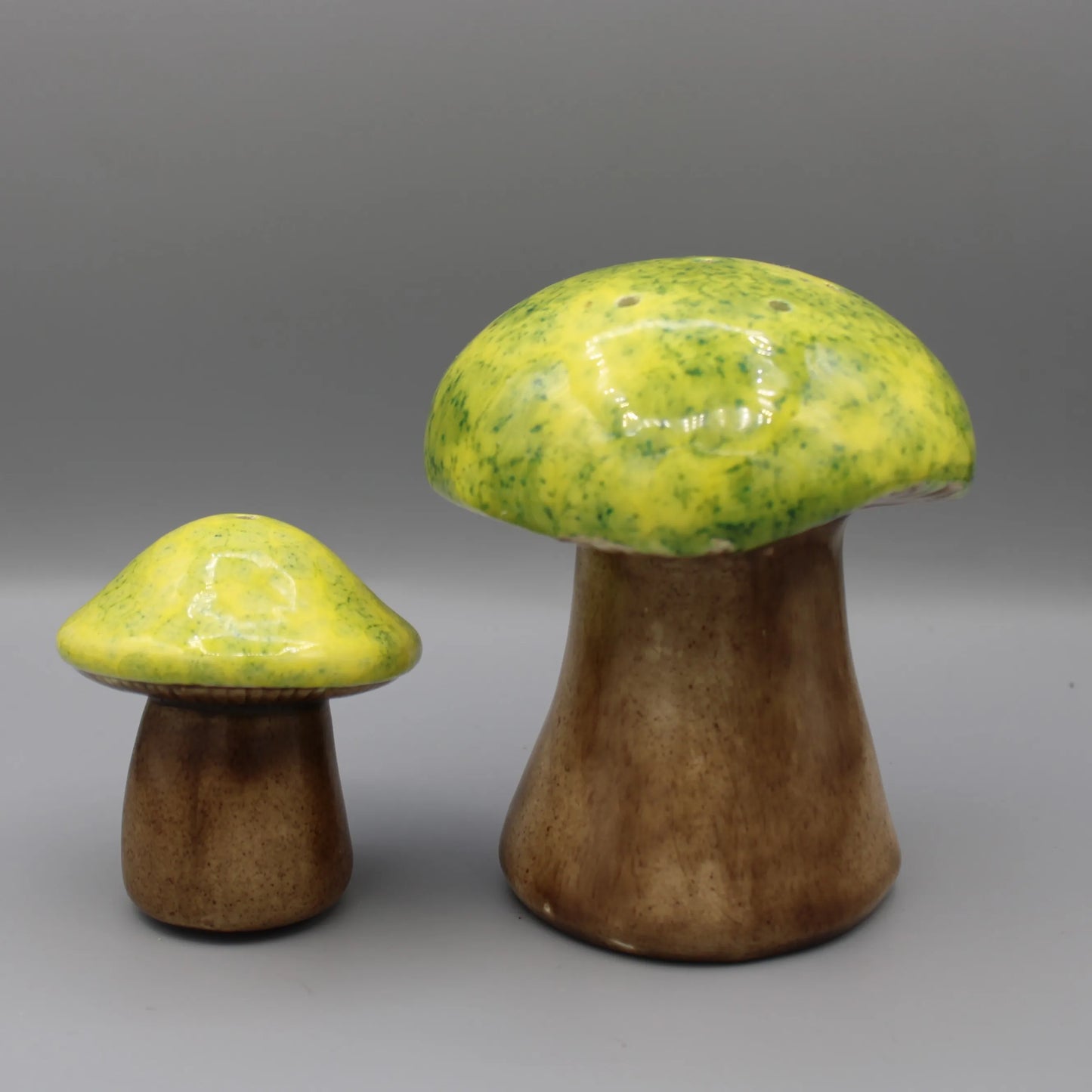 Ceramic Mushroom Salt and Pepper Shakers
