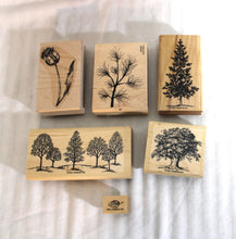 Load image into Gallery viewer, 6 PC Nature / Tree Set - Rubber Stamps (see List)