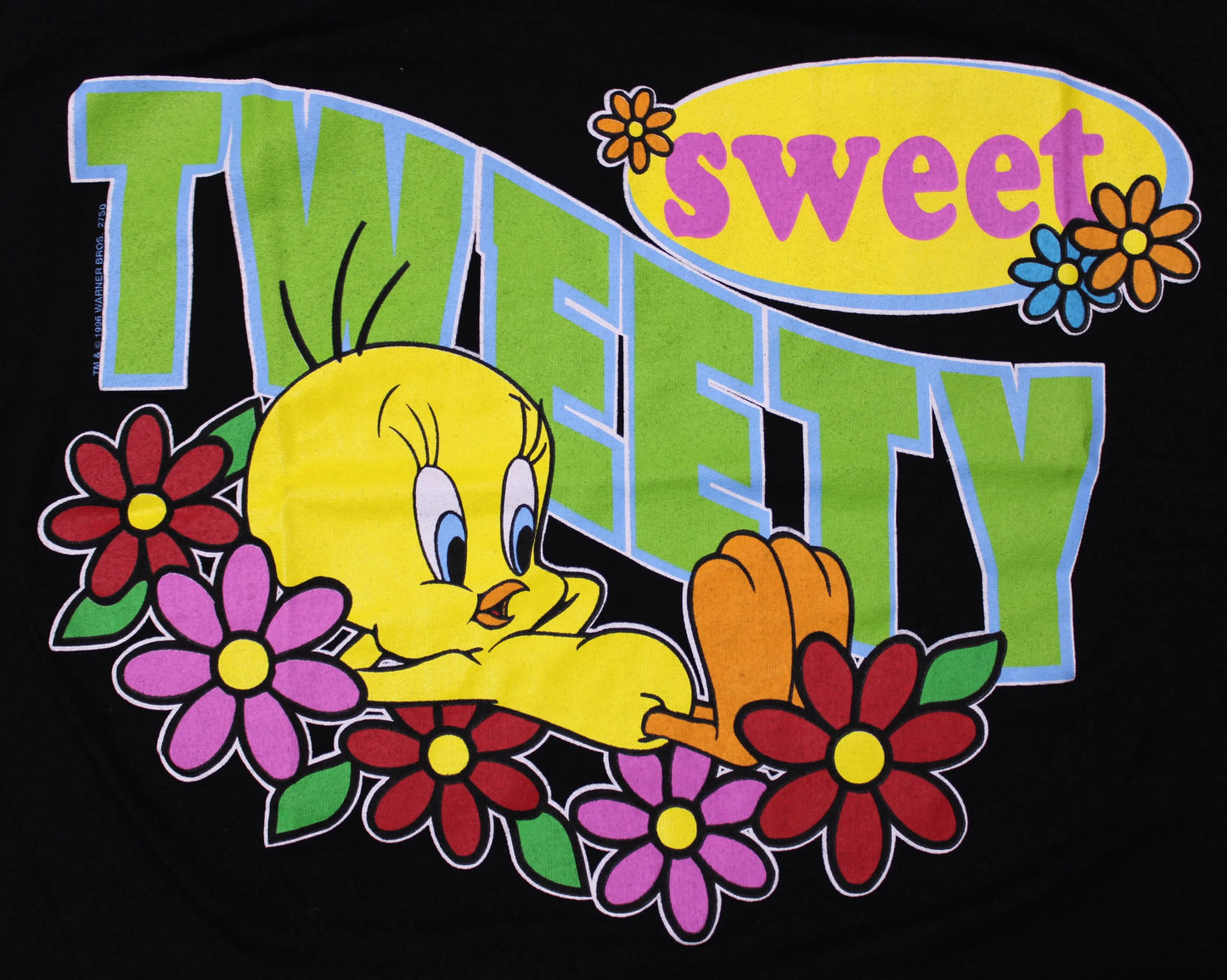 Looney Tunes - Vintage - Black T-Shirt with a Tweety Graphic - No Size Tag