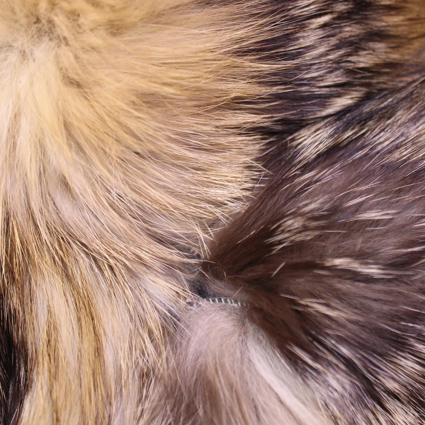 Herbert's Furs - Vintage - Fur Coat