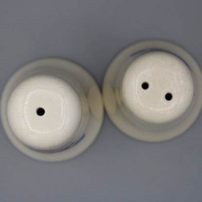 Minnesota Souvenir Ceramic Salt & Pepper Shakers