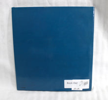 Load image into Gallery viewer, Vintage 1996- Painting Dreams - Minnie Evans, Visionary Artist - Mary E. Lyons - Hardback Book