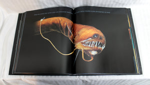 The Deep, The Extraordinary Creatures of the Abyss - Claire Nouvian - 2007 - Hardback Book