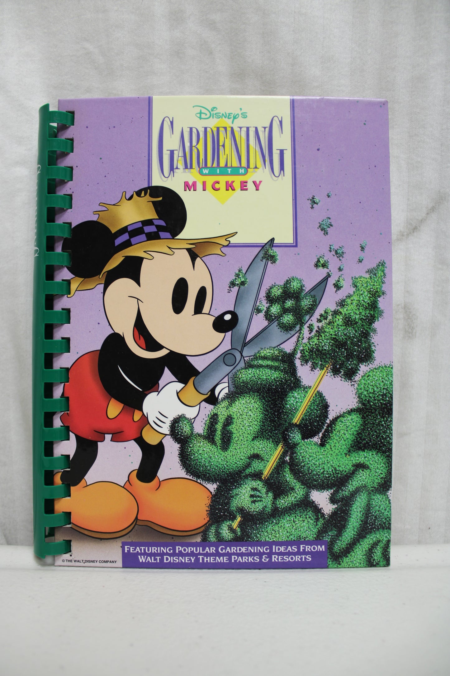 Gardening with Mickey 1st Ed
