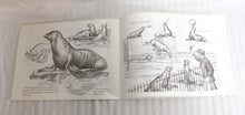 Load image into Gallery viewer, 1957- Drawing Animals - Victor Perard, Drawing Animals Paperback Book - Pitman Publishing