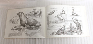 1957- Drawing Animals - Victor Perard, Drawing Animals Paperback Book - Pitman Publishing